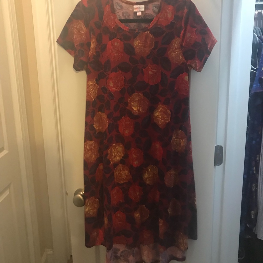 Lularoe Carly dress